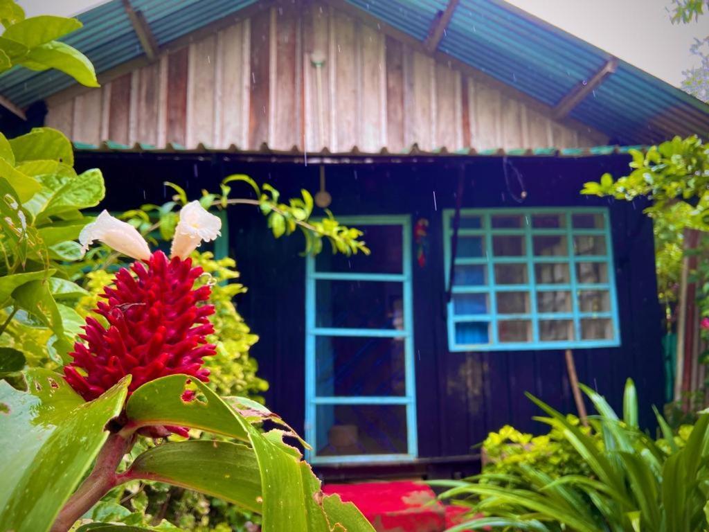 Flor de la selva Leilighet Puerto Nariño Eksteriør bilde